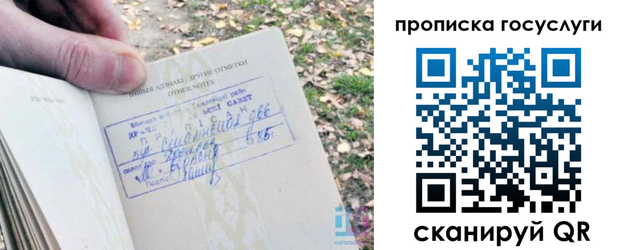 временная регистрация собственник в Курганинске